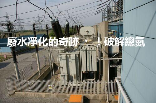 廢水凈化的奇跡！破解總氮難題，助你擁有清澈水源！